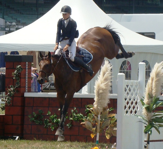 auby wall