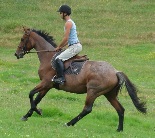 whirly 050