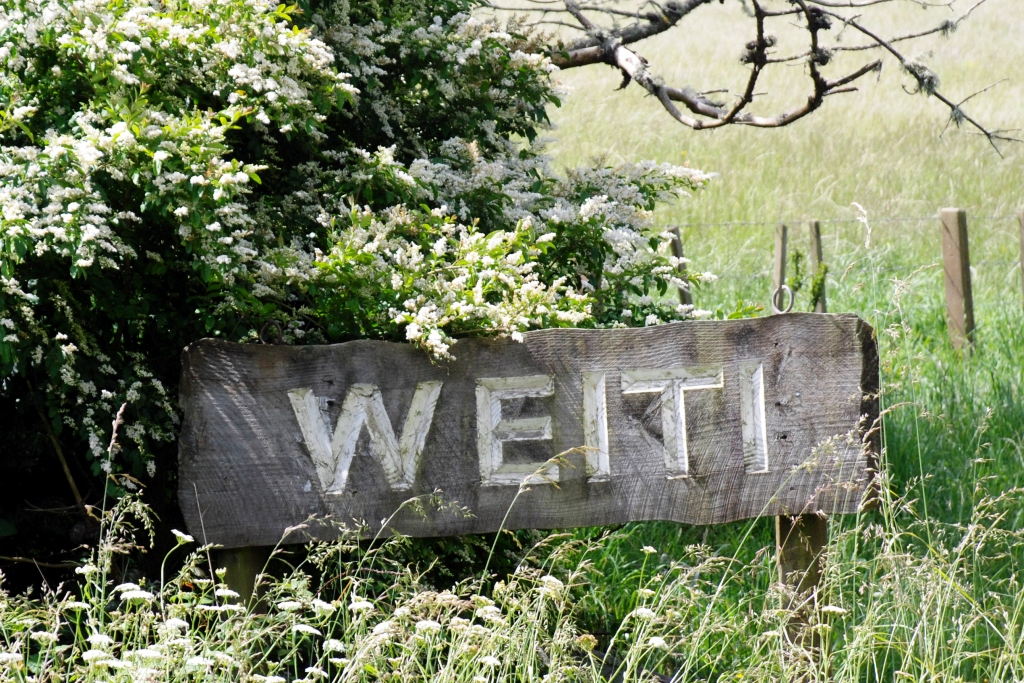 WEITI