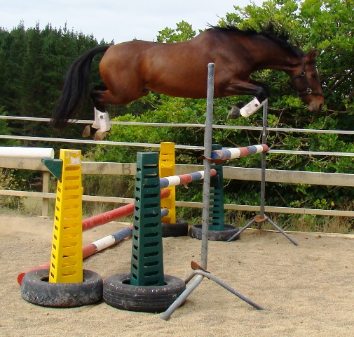 freejumping autumn 2010 036